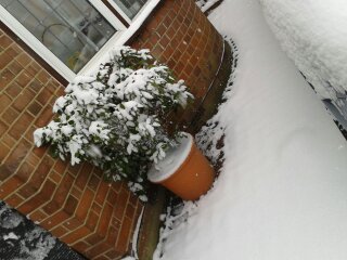 My mothers plant pot with Christmas decorations on it =S and a dollop of snow